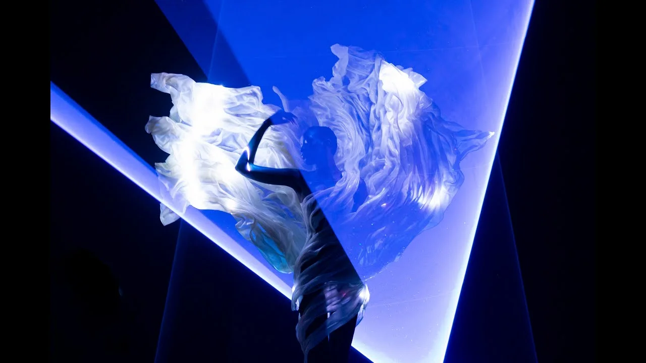 Sympoiesis by Iris van Herpen, France