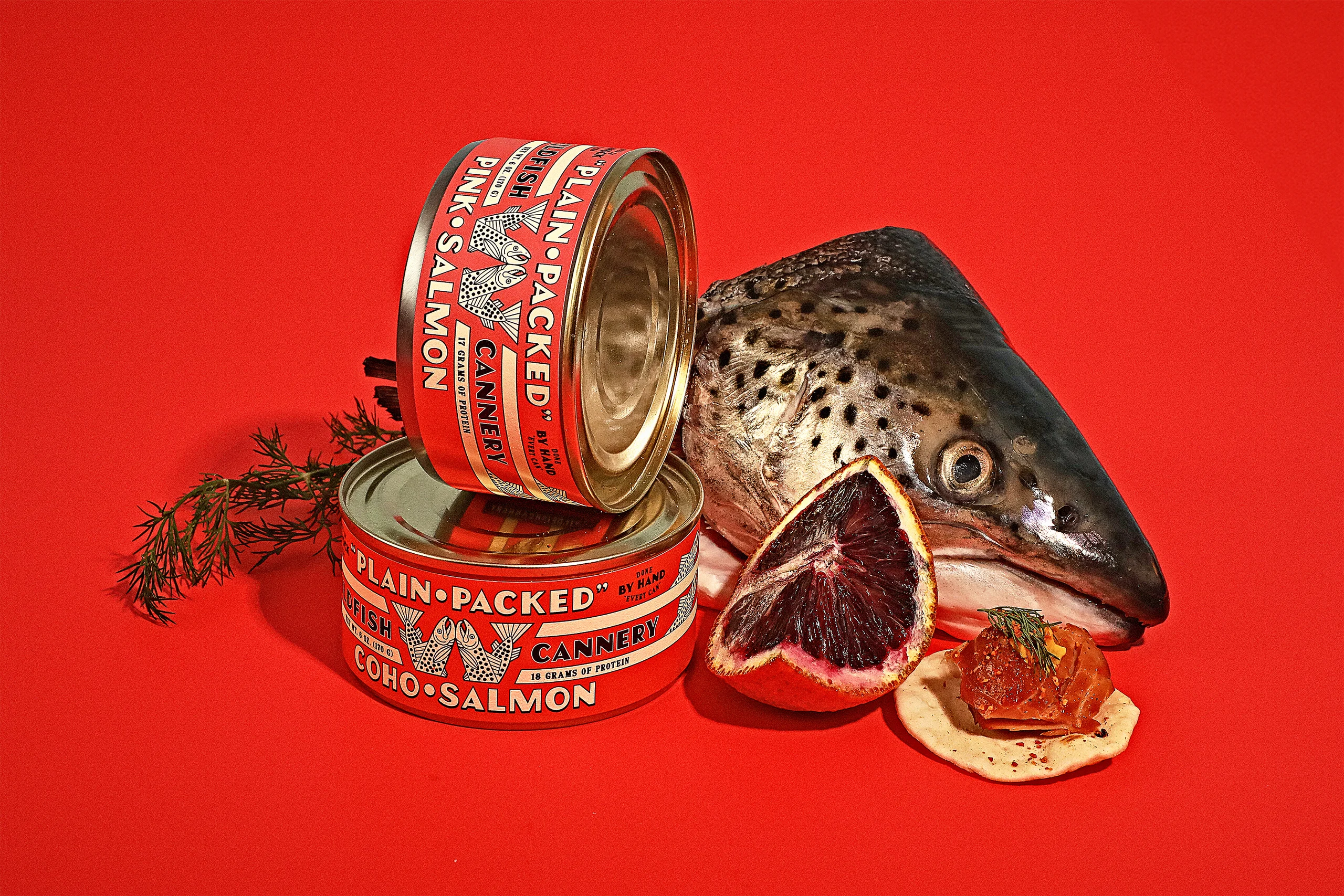 Wildfish Cannery rebrand by Young Jerks
