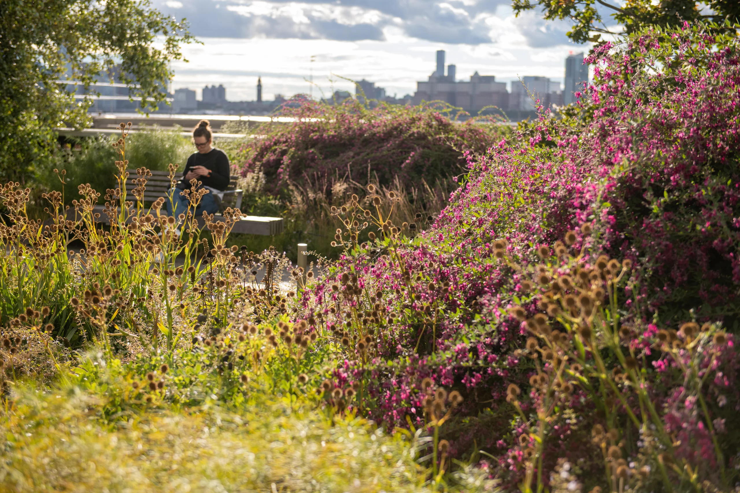 The High Line, US