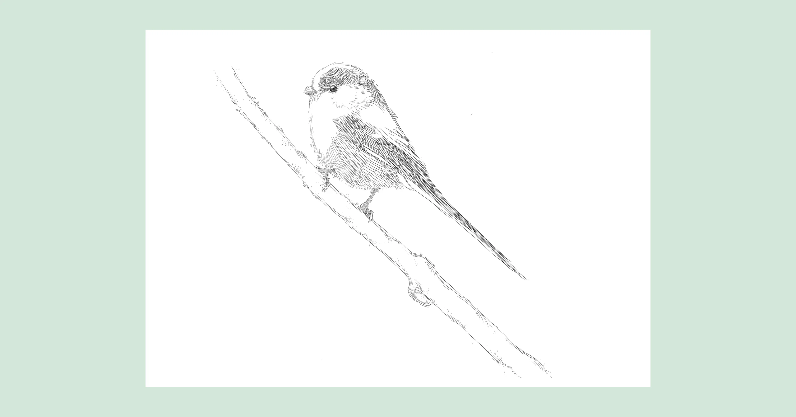 Window Birds by Antonin Yuji Maeno with Cutwork Studio, Paris