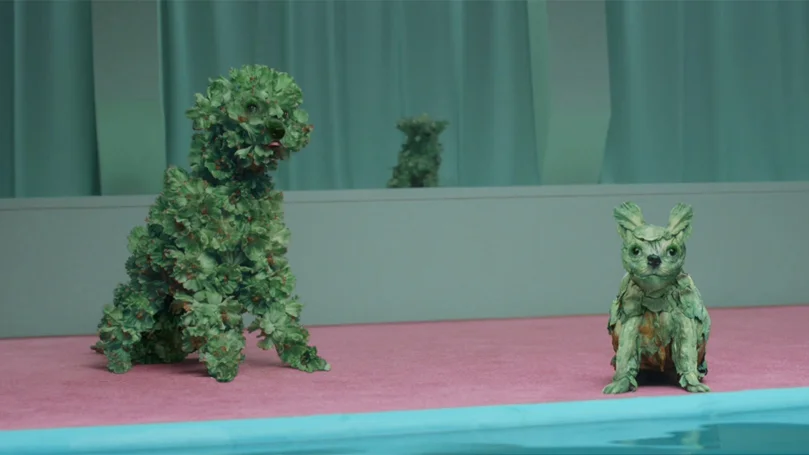 KaleLimp by MailChimp, Droga5 and RiffRaff, US