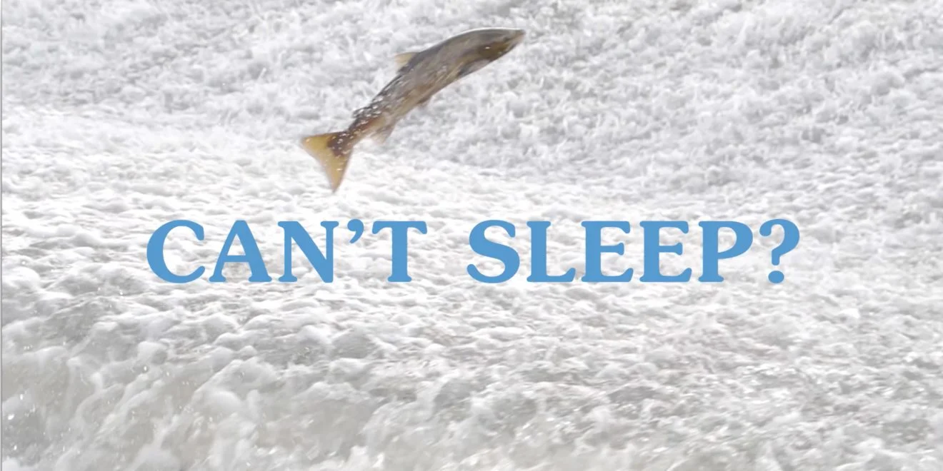 Can't Sleep? by Casper, US