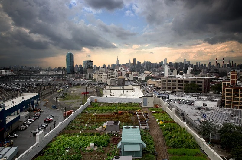 Eagle Street Rooftop Farm, New York originally profiled by LSN in 2010